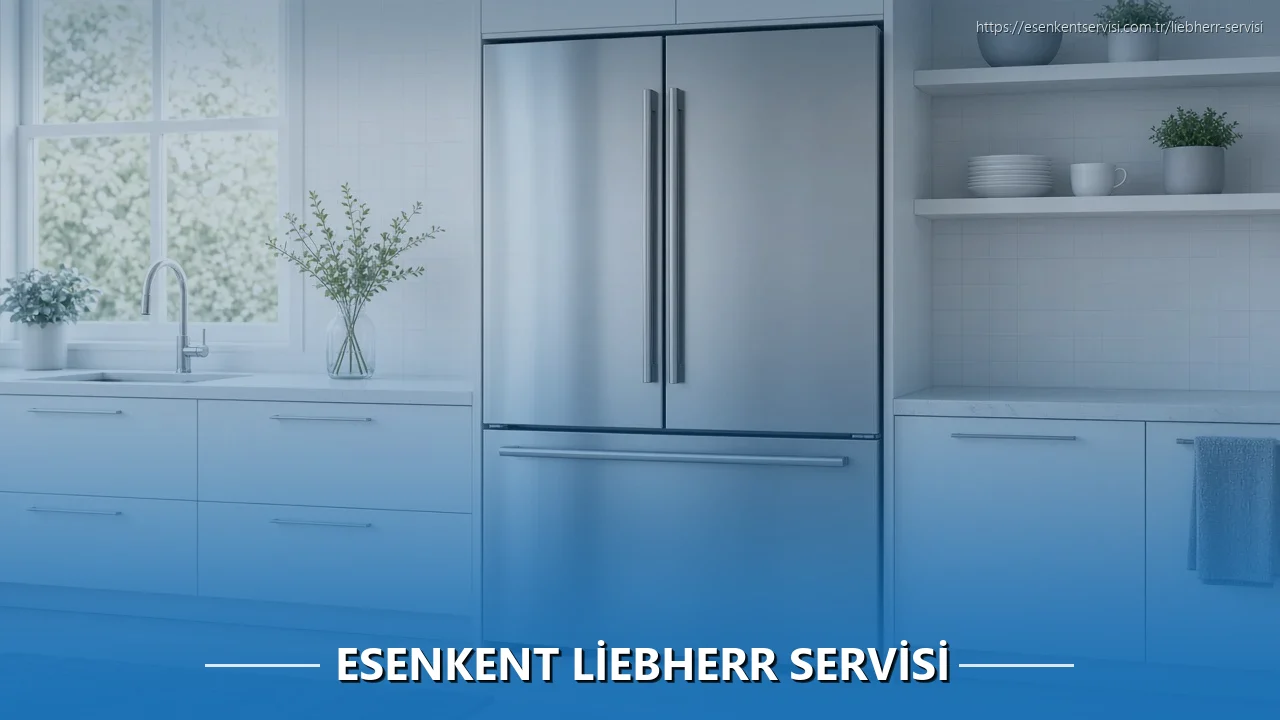 Esenkent Liebherr Servisi